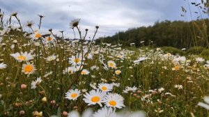 конный поход