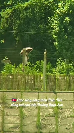 🇰🇵 DPRK Rural life on Paektu mounts🏔️