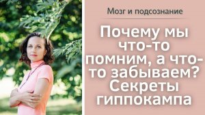 Почему мы что-то помним, а что-то забываем?  Секреты гиппокампа.