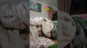 играем в пасы