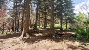 Большой Тхач - 2025