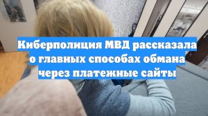 Киберполиция МВД рассказала о главных способах обмана через платежные сайты