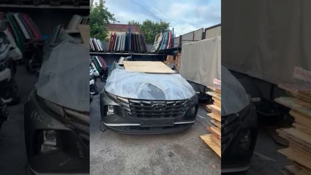 1000063144.mp4