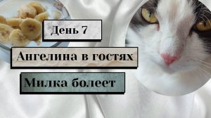 Живём на 500 рублей в день. Ангелина в гостях. Милка заболела 29.06.2025