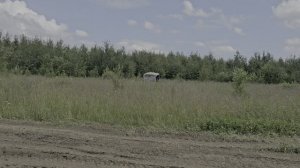 Как страшно может рычать пантера.