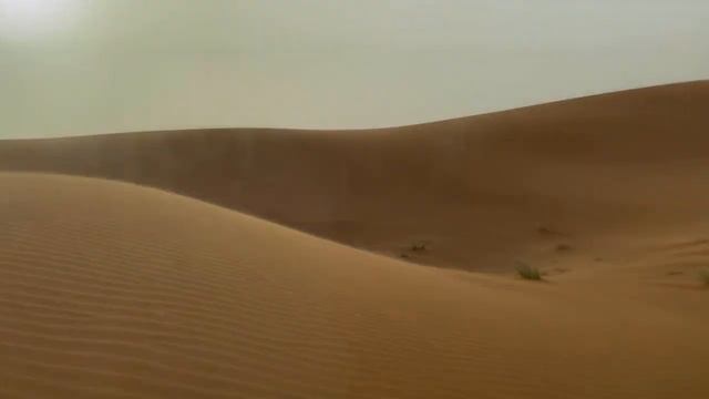 #15 ОАЭ 🇦🇪. Жёсткое Сафари в пустыне на джипах. Июнь 2022 смотреть онлайн