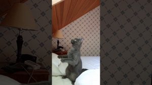 Бусильдон на отдыхе!