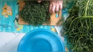 ЗАГОТОВКА ЗЕЛЕНИ НА ЗИМУ