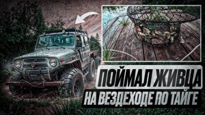 Поймал живца. На вездеходе по тайге. Привёз шифер для избы