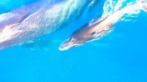 Тихие воды — Спокойствие и внутренний баланс часть 1