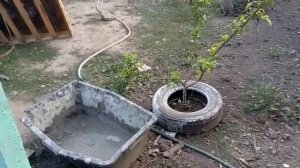 Три Поколения. ОЧАРОВАТЕЛЬНЫЙ УЖИН