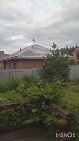 Дела садовые 🍓🌺🌺Котлеты на скорую руку👍😋#дом#сад