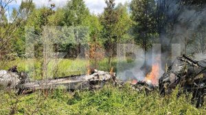 В Подмосковье четыре человека погибли при падении легкомоторного самолета