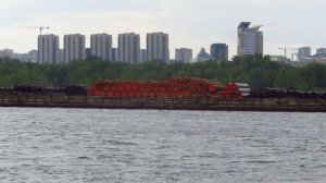 29.6.2025г Красноярск ,за торговым центром Енисее   MVI_6622