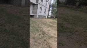 VID20250629174052