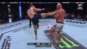 Джоната Диниз против Элвина Хайнеса (видео). UFC 317