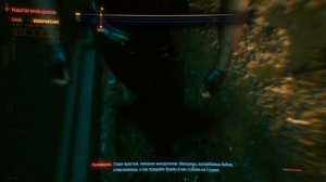 Прохождение Cyberpunk 2077, Куча багов