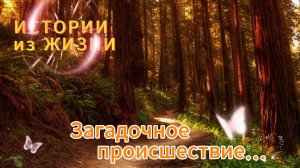 Аудиорассказ - Загадочное происшествие... НОВИНКА