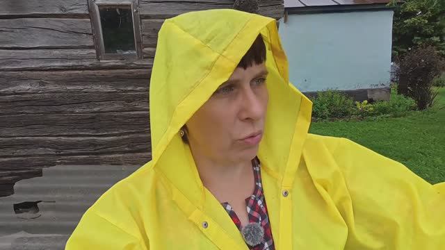 Поехали к врачу, надеюсь обойдётся. Дожди не просыхая заливают смотреть онлайн