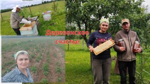 Первый мед, насыщенное лето