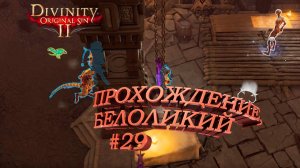ПРОХОЖДЕНИЕ,БЕЛОЛИКИЙ►Divinity Original Sin 2►29