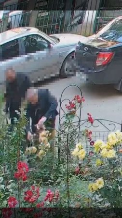 💐Два «жениха» в подмосковном Климовске ходили и собирали букеты💐