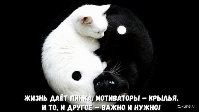 Жизнь даёт пинка...