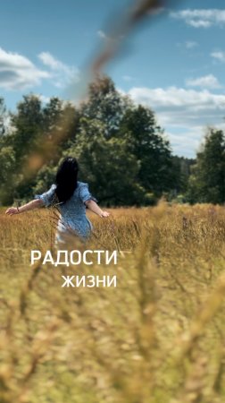 Творческая летняя история в полевых цветах