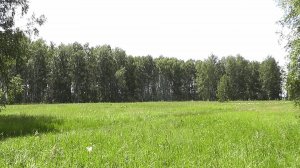 Собираем дары природы в день молодёжи.