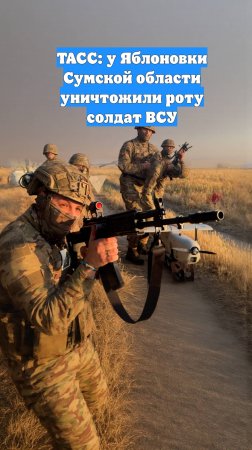 ТАСС: у Яблоновки Сумской области уничтожили роту солдат ВСУ