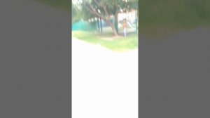 1000005513.mp4