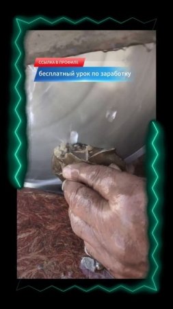 Моя_лучшая_находка!_#золото_#gold_#камнемания_#аммонит_#наутилус