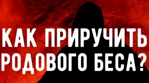 Родовой БЕС - это ваш ПОМОЩНИК. Откровения Оккультиста. Контроль теней.