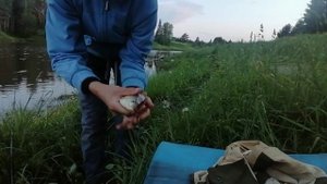 Рыбалка! КАРПЯТ не обижаем!