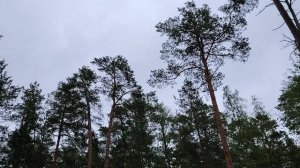 Деньги и моё к ним отношение. Немного о финансовой грамотности