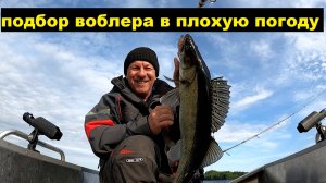 Верховой троллинг. На что клюет хищник в плохую погоду.