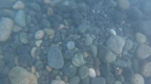 В море с головой