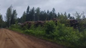 Лесной Патруль