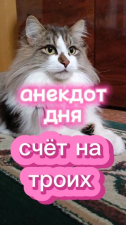 Анекдот дня.