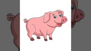 pig8.mp4