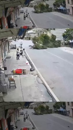 Никогда деревья не падали, и вот опять!