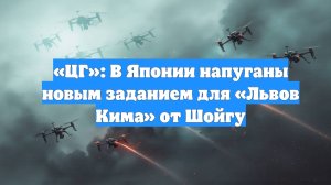 «ЦГ»: В Японии напуганы новым заданием для «Львов Кима» от Шойгу