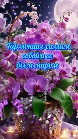 доброй день