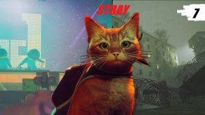 STRAY😿ОКАЗАЛСЯ ПРЕДАТЕЛЕМ💵ПОПАЛИ В ТЮРЬМУ🔐УЕХАЛ НА ПОЕЗДЕ🚇часть 7