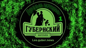 Дачные истории #1
