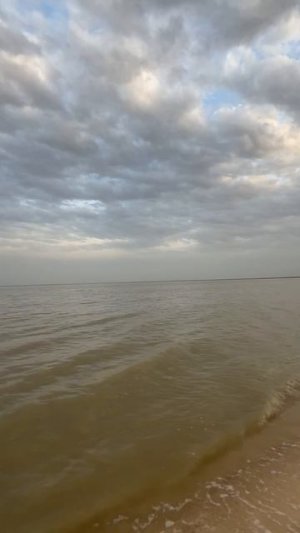 Малинуа, Ганс и Герда , рабочие собаки , 27мая 25год