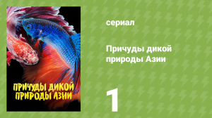 Причуды дикой природы Азии 1 серия «Поиски любви» (документальный сериал, 2021)