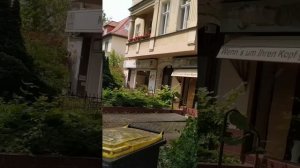 «Природа — ваш лучший энергопомощник»