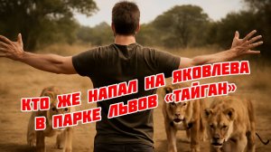 Что случилось с Максимом Яковлевым в "Парке львов "Тайган", почему напали львы