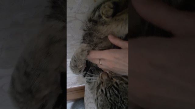 VID_20250629_160943